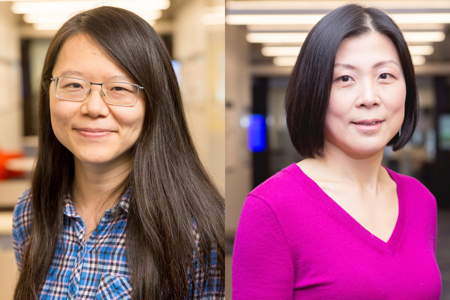 Professors Shan Lu and Heather Zheng Named ACM Distinguished Members
