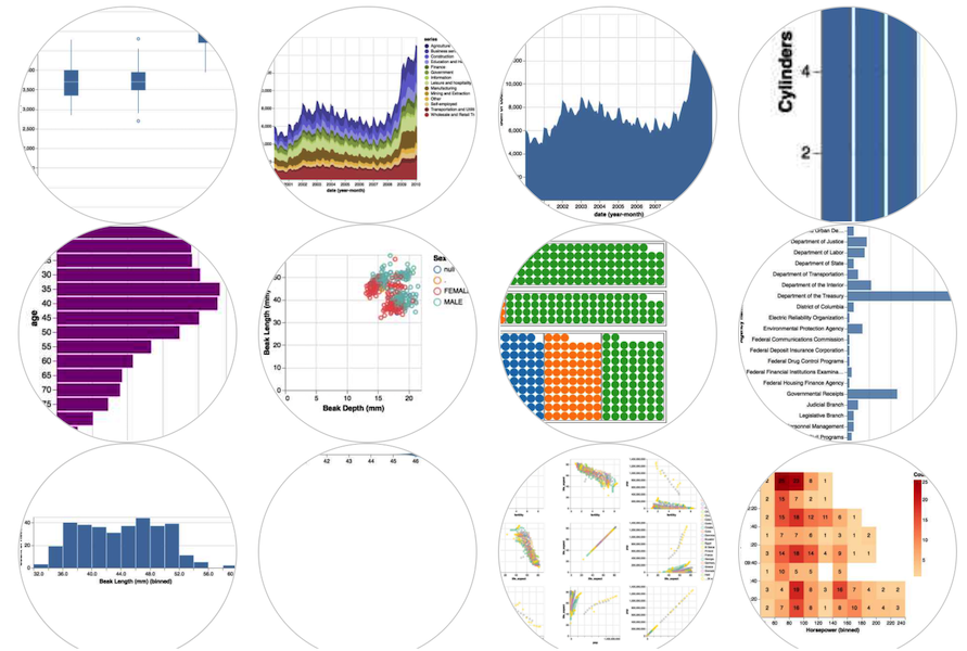 A selection of visualization templates made using Ivy, ivy-vis.netlify.app